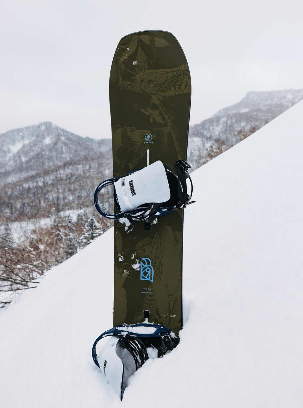 Burton Family Tree Hometown Hero Camber Snowboard - Family Tree - Burton Freeride - alternate view 13