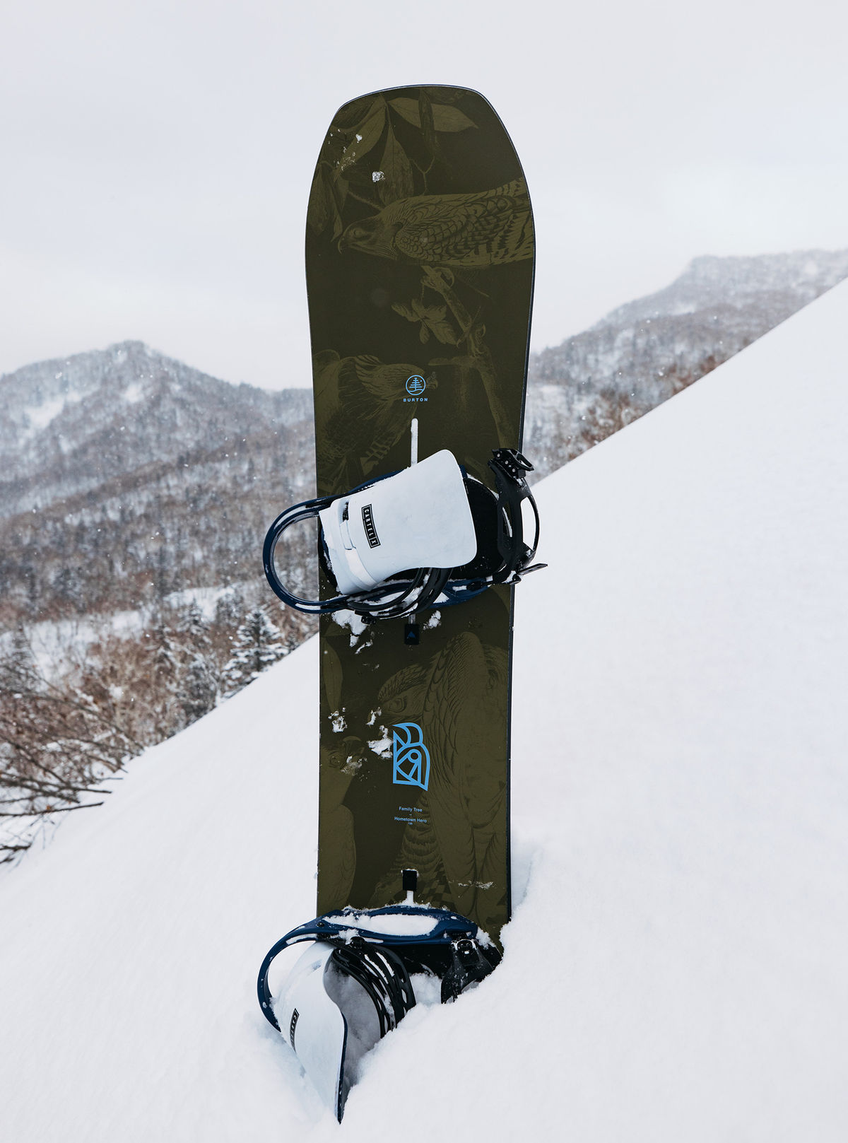 burton family tree territory manager snowboard Hometown Hero Camber Agile | Your Premium Our time Variant:Dark Ruby gray and black