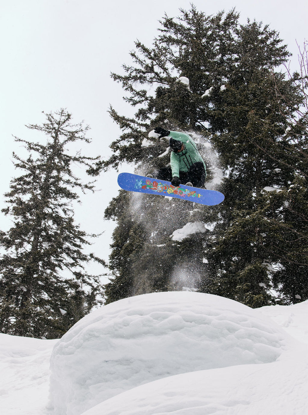 Burton Counterbalance Camber Snowboard - Hallucinate - Burton All Mountain - alternate view 12
